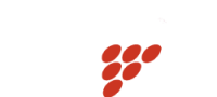 Logo Vinalia-ai